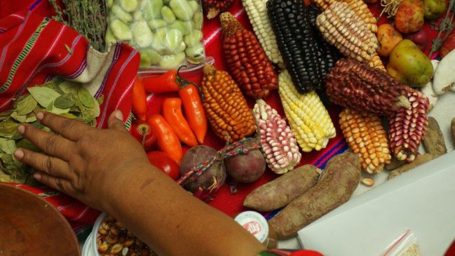 Encuentro de cocinas tradicionales de Tarapacá busca potenciar el patrimonio de la zona