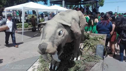   La postales que dejó el Carnaval Cultural de Puerto Montt 