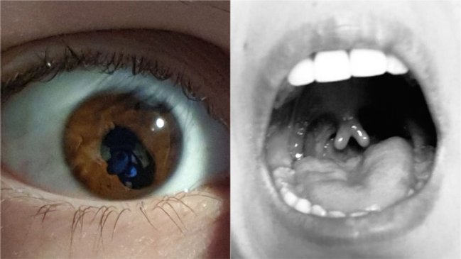 Una tuitera llamó a compartir 