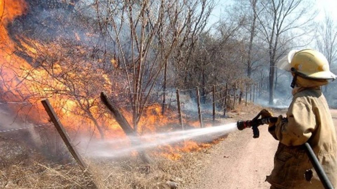 Incendio forestal consumió casi cinco hectáreas en Quillón