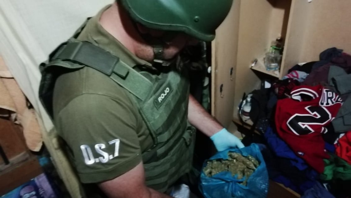 Más de 8.000 dosis de marihuana fueron decomisadas por Carabineros de Arica