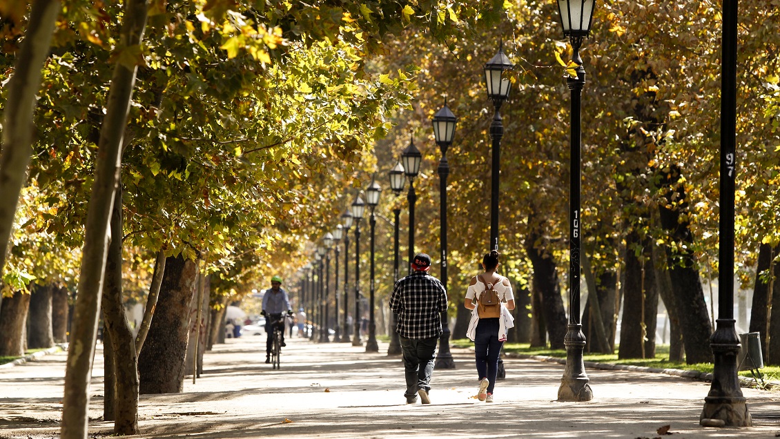Municipalidad de Providencia busca identificar a autor de ataque a ciclista