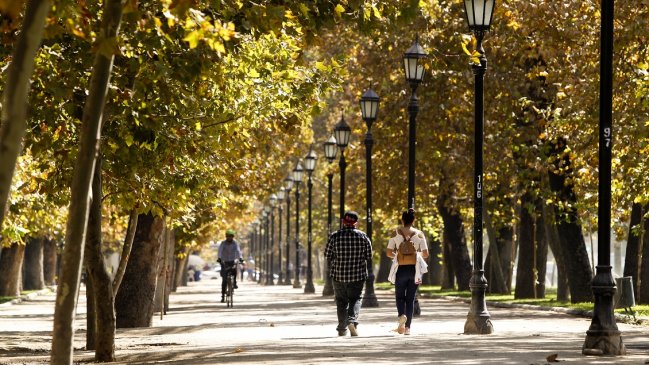 Municipalidad de Providencia busca identificar a autor de ataque a ciclista