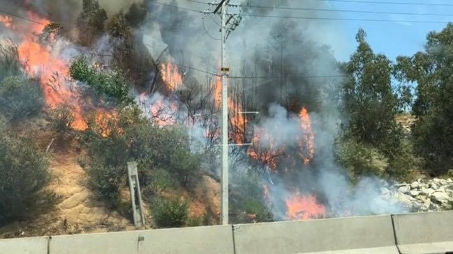 Varios incendios forestales simultáneos afectan a la Región de Valparaíso