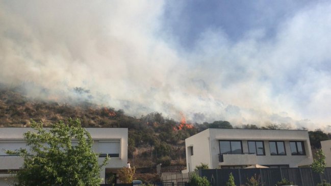 Bomberos combate incendio forestal en ladera de cerro en Lo Barnechea