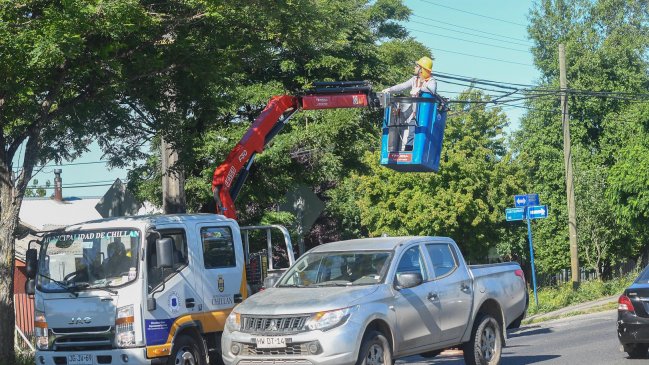 Chillán: Municipio mejora luminarias en una de las principales avenidas