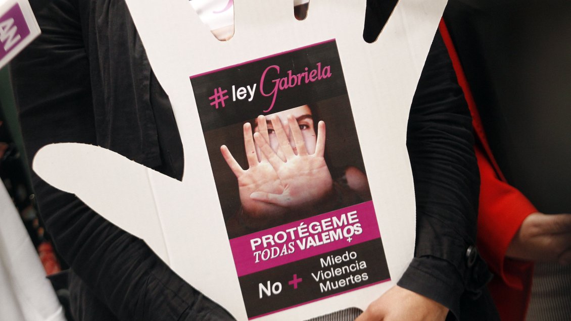 Ley Gabriela: Diputados aprobaron proyecto que amplía el delito de femicidio