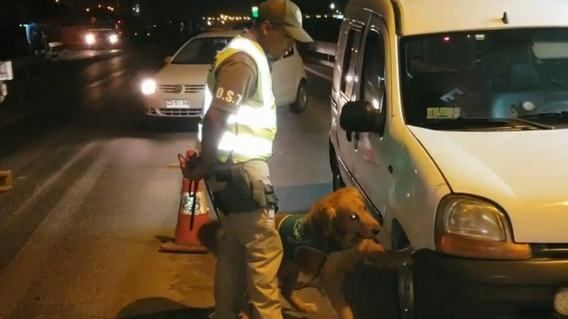 Antofagasta: Perro Aragón detectó 19 paquetes de clorhidrato de cocaína