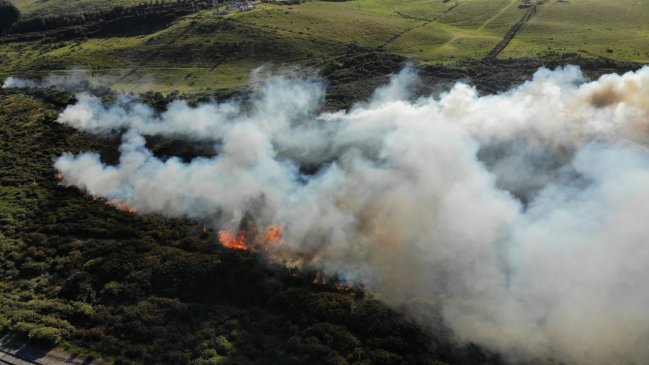 Región de Los Lagos: Onemi declaró alerta temprana por riesgo de incendio forestal
