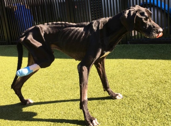 Imagen foto_00000002