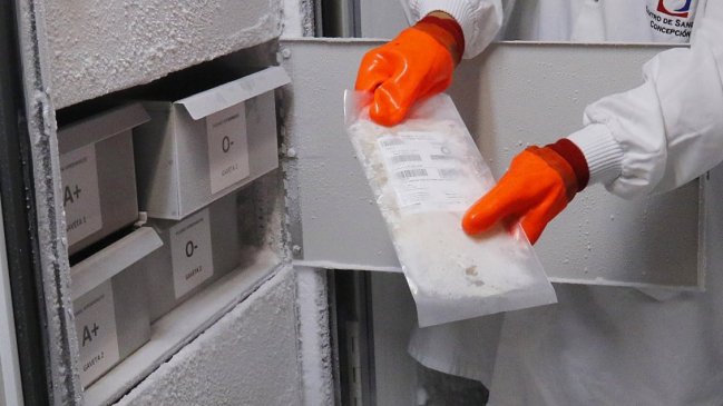 Científica chilena piensa pedirle dinero a Farkas para vacuna contra el hanta