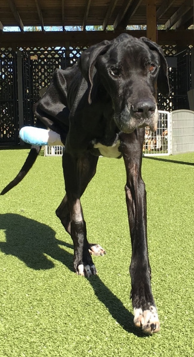 Imagen foto_00000003