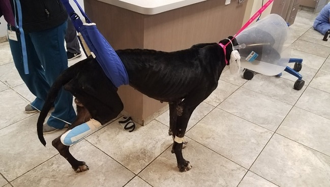 Imagen foto_00000004