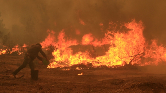 Lanzan plan de coordinación para el combate de incendios forestales en Los Ríos