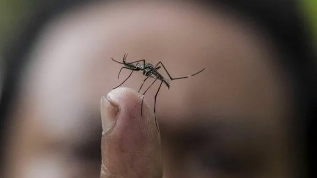Bolivia confirmó cuatro muertes por dengue en población aledaña a La Paz