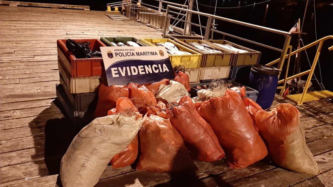 Punta Arenas: Detienen a pescadores por sustraer más de una tonelada de salmón