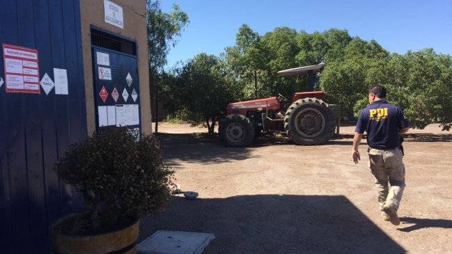 Fiscalía investiga robo a la viña Concha y Toro en Ovalle
