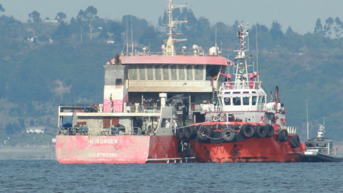 Lodos del barco Seikongen fueron arrojados en la Región del Biobío