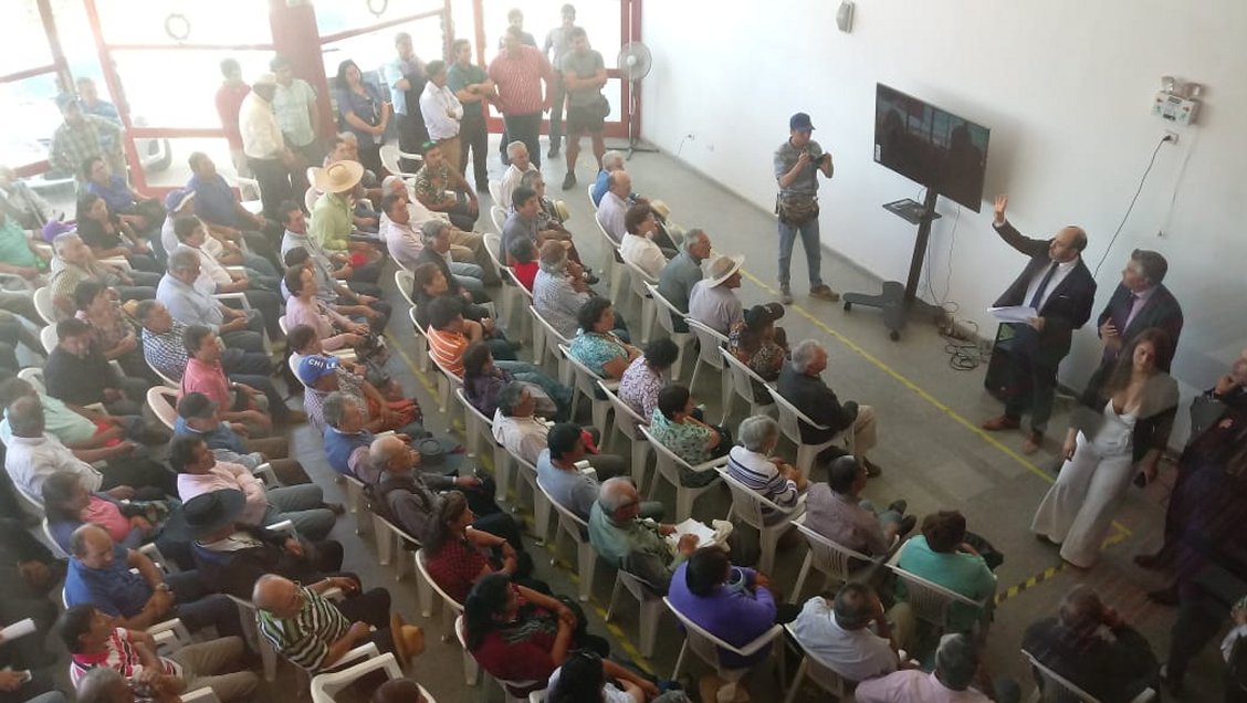 Ejecutivos de CGE deberán compensar a víctimas de incendios forestales de 2017