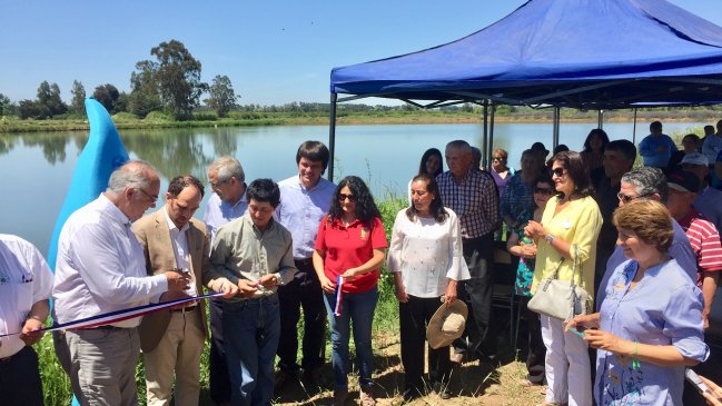 Rehabilitan tranque que permitirá que pequeños agricultores puedan regar sus cultivos en Bulnes