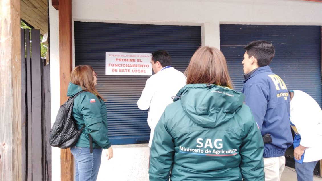 Decomisan carne en mal estado y clausuran supermercado en Paillaco