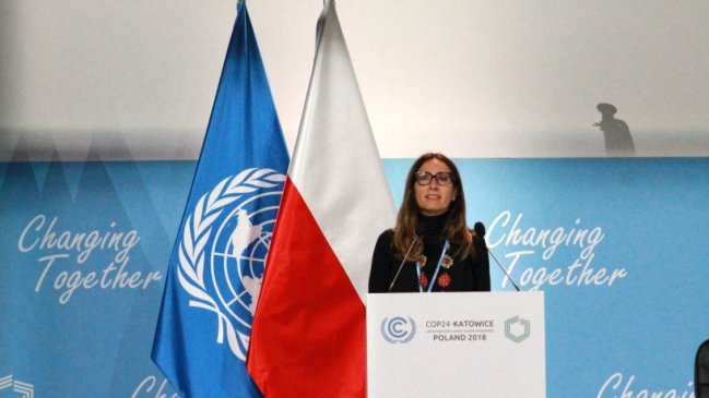 ONG cuestionan preparación de Chile para recibir cumbre medioambiental Cop 25