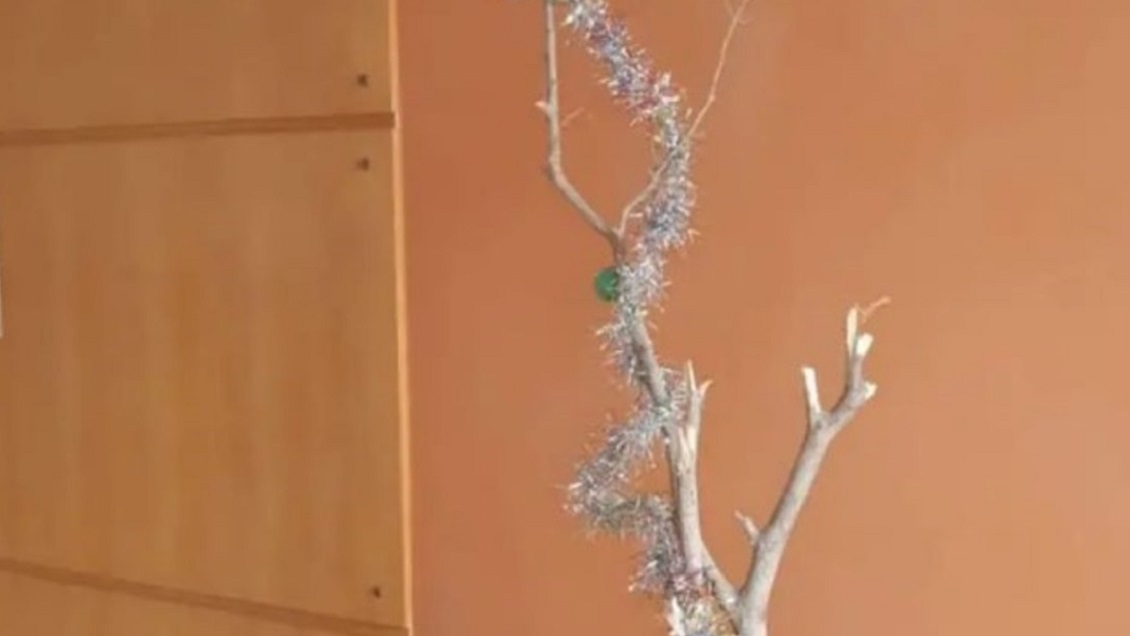 Se quejó del pobre árbol de Navidad de su edificio y se hizo viral