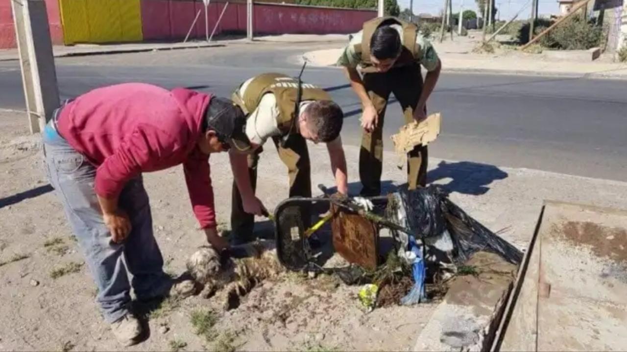 Imagen foto_00000002