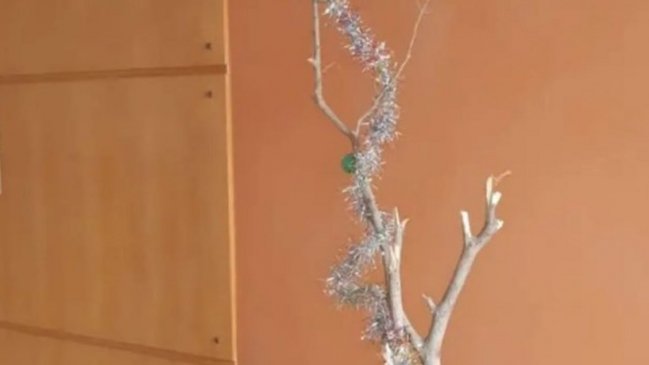 Se quejó del pobre árbol de Navidad de su edificio y se hizo viral