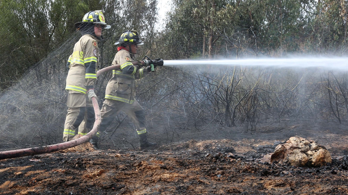 Incendio forestal destruyó una vivienda en Tiltil