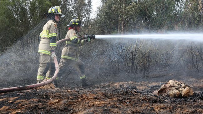 Incendio forestal destruyó una vivienda en Tiltil