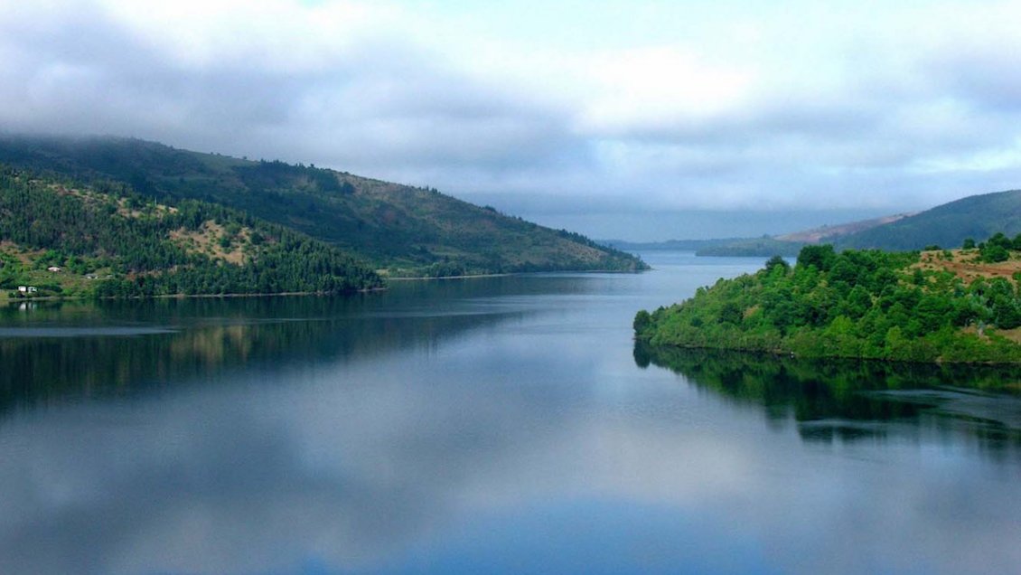 Comunidades mapuche del Biobío declararon la 