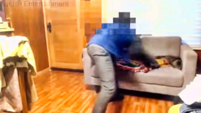 Ministerio Público investiga brutal caso de maltrato animal en Punta Arenas