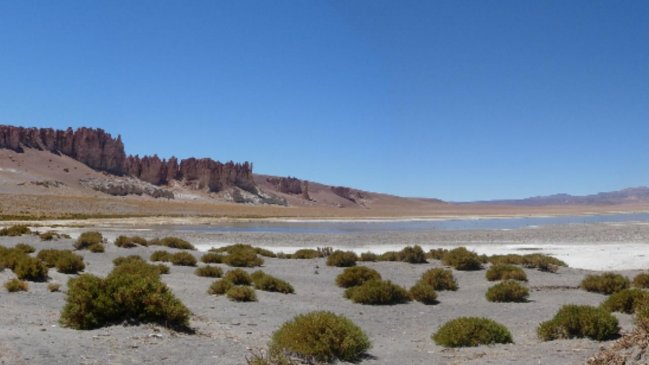 Implementarán permisos ecoturísticos en Reserva Nacional Los Flamencos