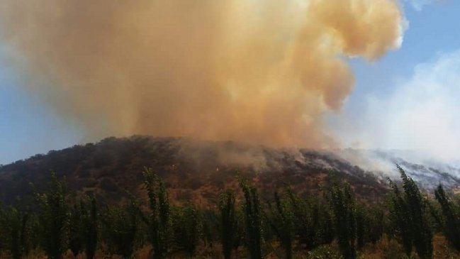 Incendio forestal en Peñaflor mantuvo nube de humo sobre Santiago