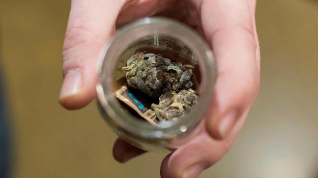 Tailandia aprobó el uso medicinal y de investigación de la marihuana