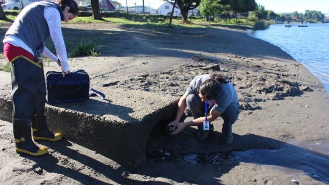 Presencia de fecas impiden habilitar playa Collico de Valdivia