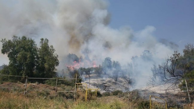 Incendio forestal azota cerro Los Nogales en Lo Barnechea