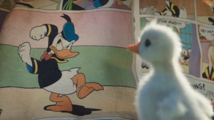   Cortometraje de un patito se robó el corazón de internet 