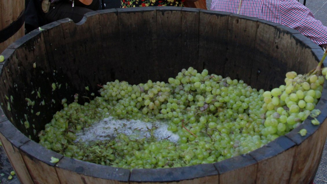 Viñateros amenazan con botar vino el la plaza de Chillán