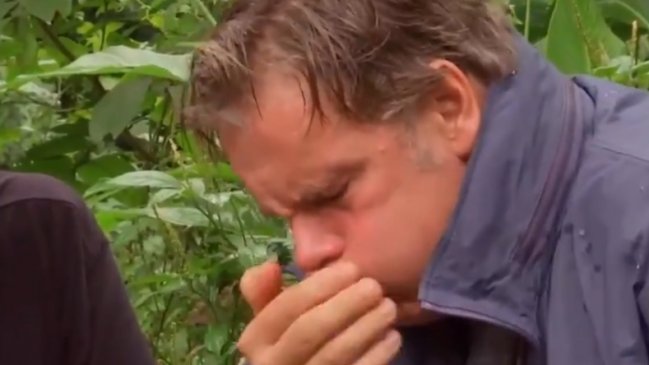 Tuitero recopiló los mejores pantallazos televisivos del año