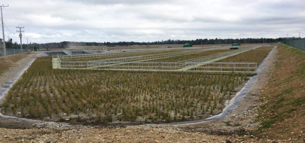 Puerto Varas: Tribunal ambiental condenó a municipio pagar millonaria multa por irregularidades en relleno sanitario
