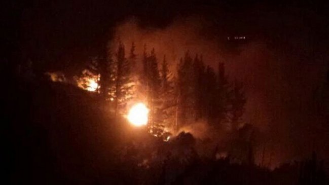 Incendio forestal afectó a un fundo en Valparaíso
