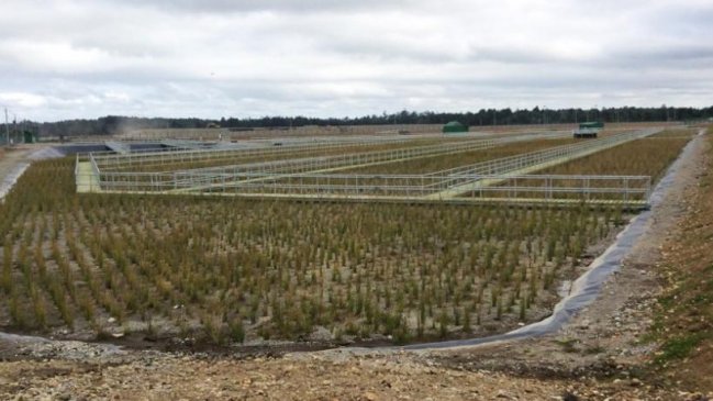 Puerto Varas: Tribunal ambiental condenó a municipio pagar millonaria multa por irregularidades en relleno sanitario