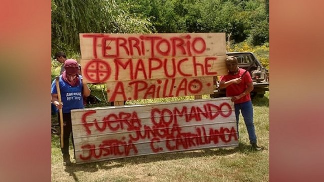 Comunidad mapuche ocupó fundo de la Forestal Mininco en Tirúa