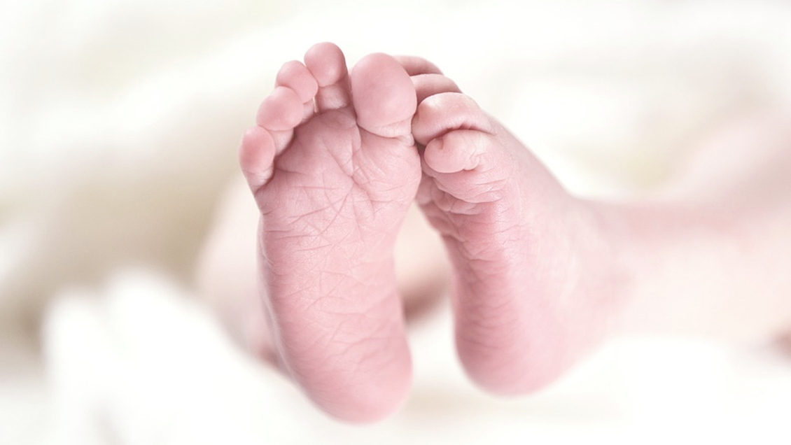 Odebrecht, Venezuela y Mundial, entre los nombres más curiosos registrados por los peruanos