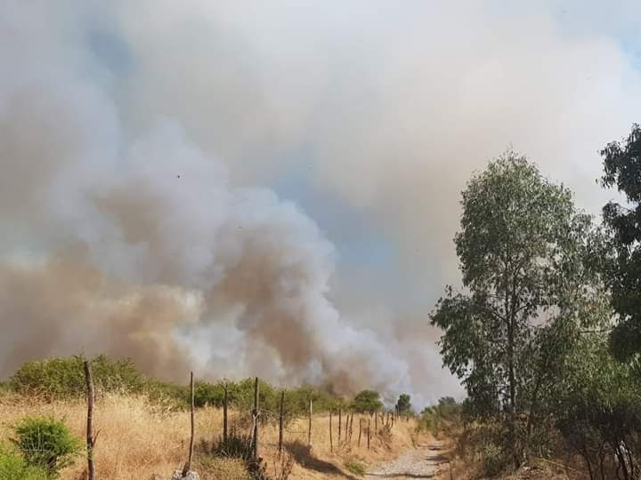 Cinco aeronaves combaten incendio forestal en San Javier