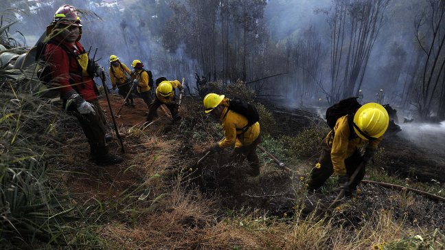 Ñuble: Incendio forestal consumió más de 170 hectáreas en Pemuco