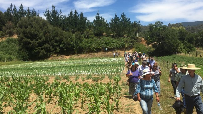 Ñuble: Cambian integrantes del equipo de la Zona de Rezago del Itata