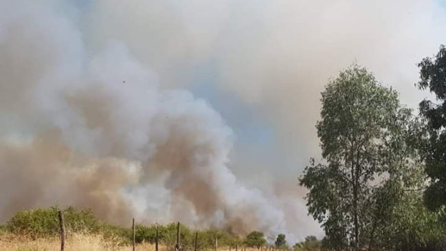 Cinco aeronaves combaten incendio forestal en San Javier